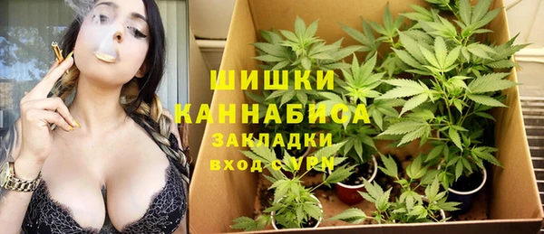 a pvp Рославль