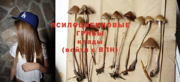 герыч Абаза